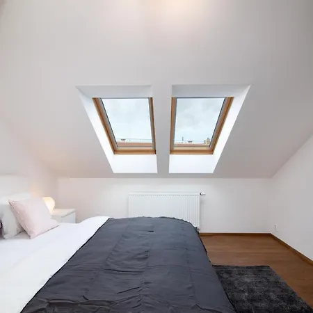 Central Bright Spacious Penthouse #103 Praag