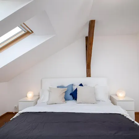 Central Bright Spacious Penthouse #103 Praag