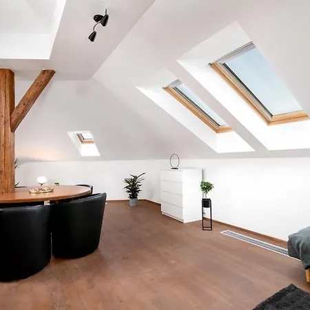 Central Bright Spacious Penthouse #103 Appartement Praag