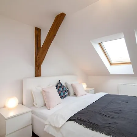 Central Bright Spacious Penthouse #103 * Praag